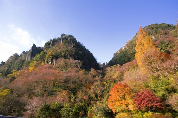 ☆大分県団体旅行商品助成金☆対象ツアー 【バスハイク/博多発着】 添乗員同行 中津名物ハモを味わう 深耶馬渓の紅葉と 御鎮座1300年の宇佐神宮 芳醇なワインを醸す安心院葡萄酒工房でお買物1